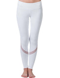 Beautiful Mesh Strip Yoga Pants